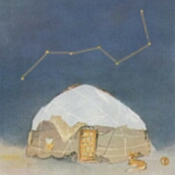 Stars in Winter